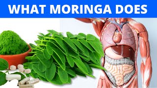 The Shocking Truth About Moringa -- Moringa: Health Benefits, Side Effects and Dangers!