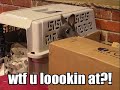 LOL Rabbits