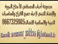 anachid islamia MP3
