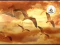 زيارة الحجة (عج) يوم الجمعة [Ziarat Imam Zaman on Friday / [Eng sub