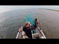 Lake Michigan Coho Salmon
