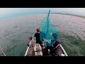 Lake Michigan Coho Salmon