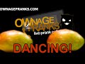 Housekeeper in Bikini Prank (ft. Abdo) - Ownage Pranks