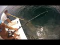 Ryan's Big Bull Shark