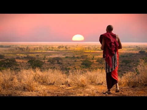 Africa Safaris w/ On The Go