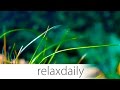Instrumental Music - relaxing, light, easy, background - Season 3