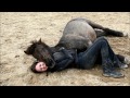 The incredible bond between human and horse