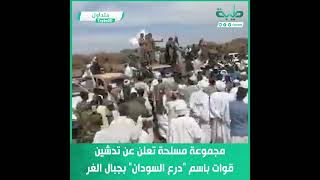مجموعة مسلحة تعلن عن تدشين قوات باسم 