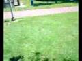 miniature