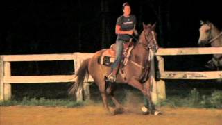 Bethel Road Saddle Club Training unknown 130726 