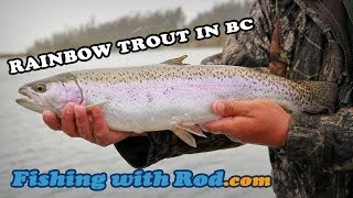 Fishing with Rod: Rainbow Trout in BC 