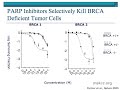 PARP Inhibitors and Ovarian Cancer -- Sloan-Kettering