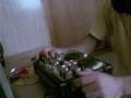 miniature