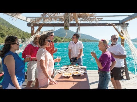 Introducing Insight Vacations