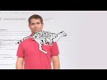 How Search Works