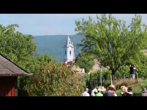 Main Page Video