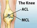 Understanding Knee Pain (Sports Injuries #2)
