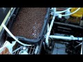 My First Aquaponic Garden