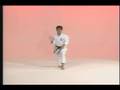 Goju-kai kata Seisan Goju-kai kata Seisan