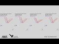 Flapping-wing aeroelastic analysis considering wing flexibility