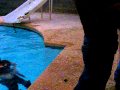 getting dunked in cold water.AVI