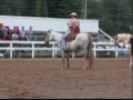 2nd Horse Show