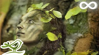 Relaxing Celtic Music: Beautiful Music, Relaxing Music, Flute Music, Meditation Music ★91