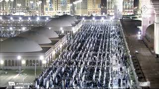 امتلاء المسجد النبوي الشريف وساحاته خلال أداء صلاة التراويح ليلة 25 رمضان 1444هـ