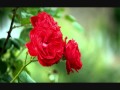 Dhoondh Rahee Thi - Zahreelay 1990 - Full Song HD