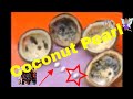 Coconut Gem or Shreephala Moti Magic Video