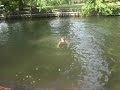 Jumping in the river