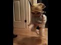 Funny baby in Jolly Jumper dancing to Michael Jackson