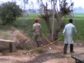 HANDU BHAGIKE