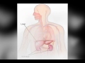 Increase Fertility-Hypnosis / Guided Meditation