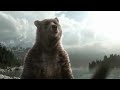 Tulip Reklame Bjørn / Commercial Bear