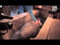 Discovery of an Intact Tomb at Saqqara  (ft. Dr. Hawass)