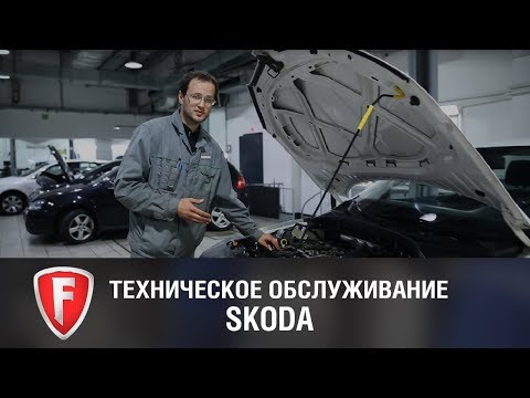 Плановое ТО Skoda Octavia - техническое обслуживание автомобиля Шкода Октавия у официального дилера