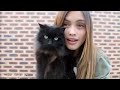 Gangnam Style Eyebrow Dance - Girl With A Funny Talent 2.0 Sarah Ellen - Randomness