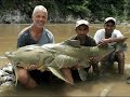 Worlds Largest Fish (World Records Freshwater)