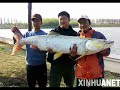 Worlds Largest Fish (World Records Freshwater)