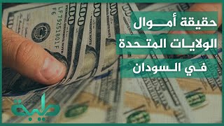 حقيقة الأموال التي تنفقها الولايات المتحدة الأمريكية في السودان