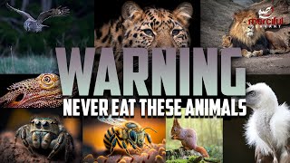 YOU SHOULD NEVER EAT THESE ANIMALS