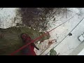 Abtragen einer Eiche mit SKT & Rigging
