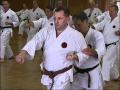 03-History of karate