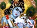 Sri Brahma Samhita ~ Swarupa Damodara Dasa