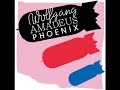Phoenix - fences (original)