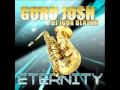 *HQ* Guru Josh & DJ Igor Blaska - Eternity (Rivaz Club Mix) Obrázok autora