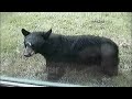 ☺ America's Funniest Home Videos Part 100 - Best clips from parts 1 through 99