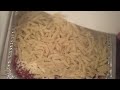 Baked Penne Pasta Recipe