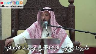 984 - شروط وجوب الزكاة في بهيمة الأنعام - عثمان الخميس - دليل الطالب